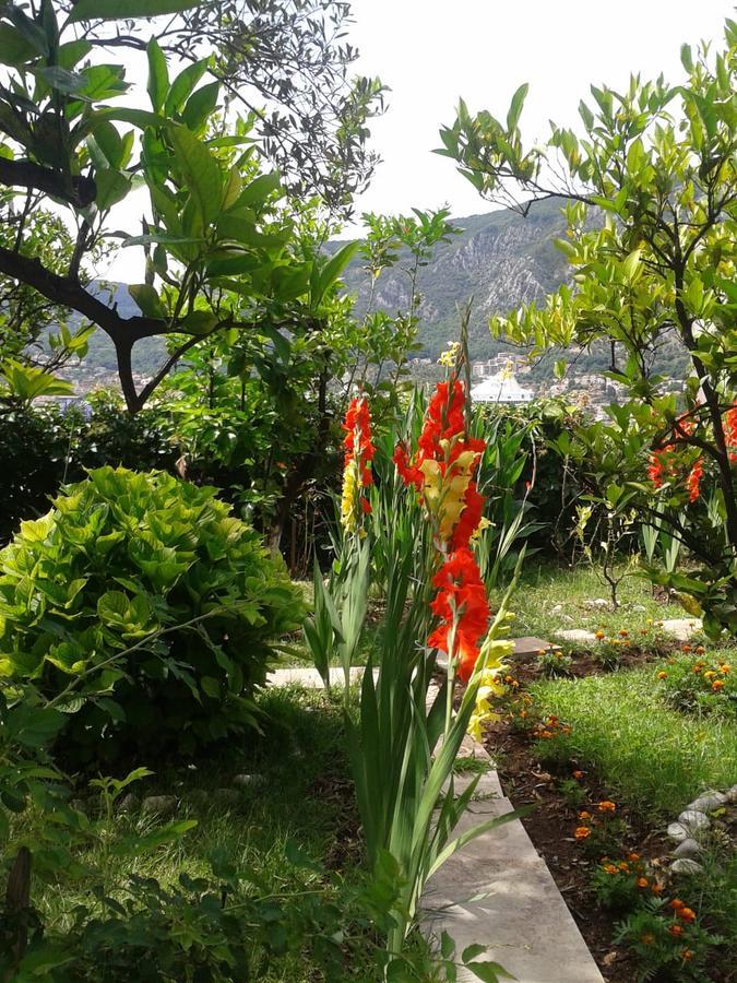 Kotor Kelly Apartments Eksteriør bilde